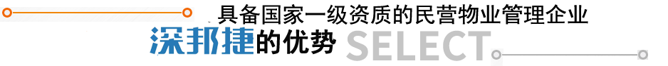 优势 优势