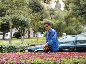 园林绿化工程养护服务
